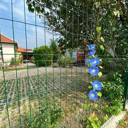 Mandula Haz بيت ضيافة Veszprém