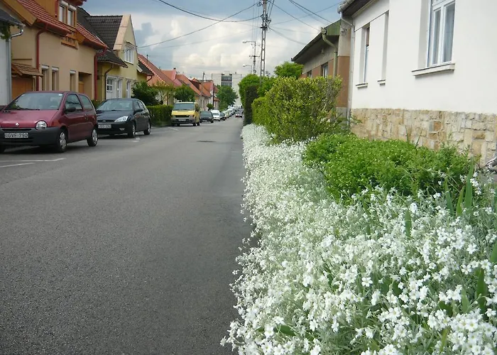 Mandula Haz